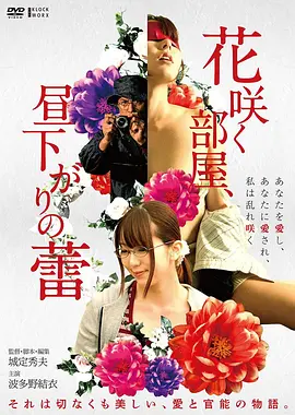 深蓝回声高清电影免费在线观看
